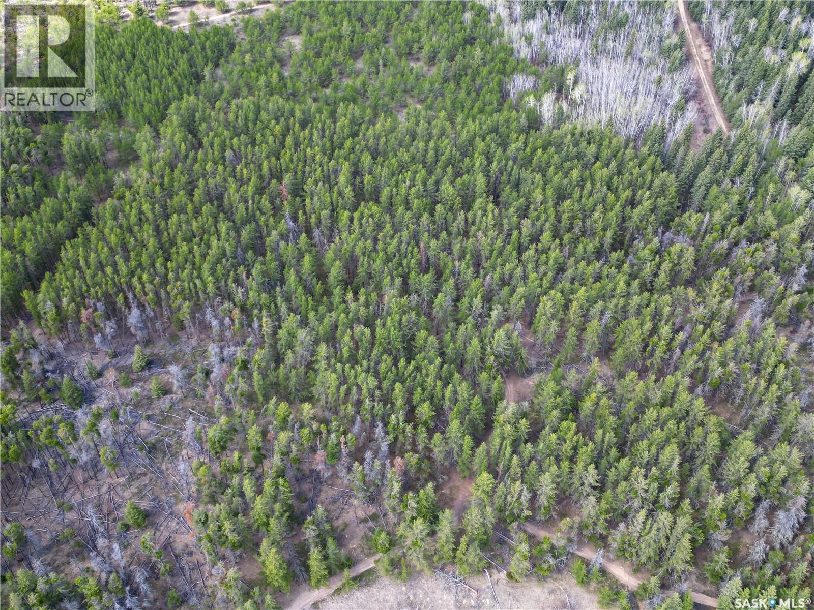 Little Red Villas Inc.(20.07 Acre) Parcel, Buckland Rm No. 491, Saskatchewan  S0J 1C0 - Photo 23 - SK046831