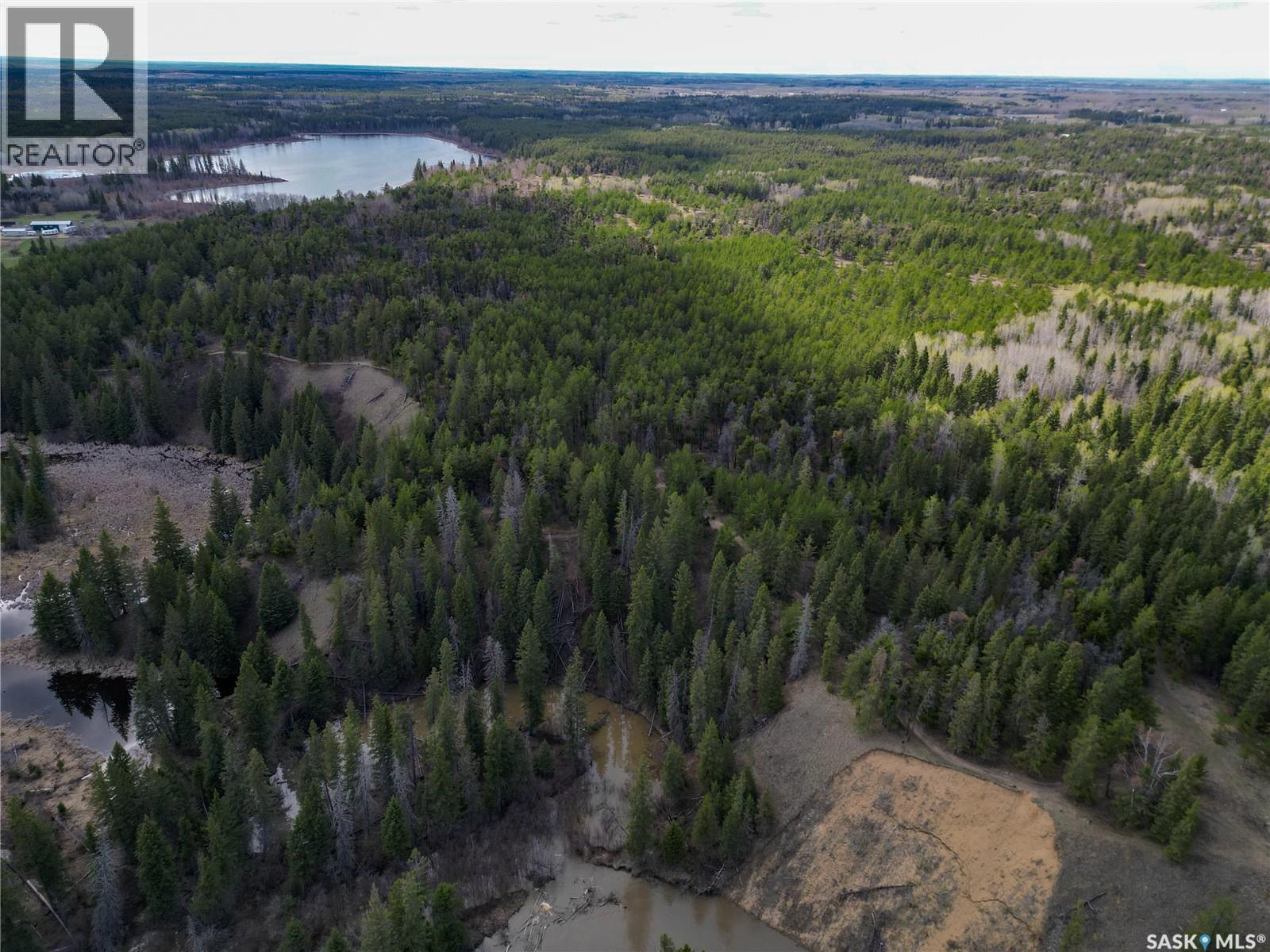 Little Red Villas Inc.(20.07 Acre) Parcel, Buckland Rm No. 491, Saskatchewan  S0J 1C0 - Photo 3 - SK046831