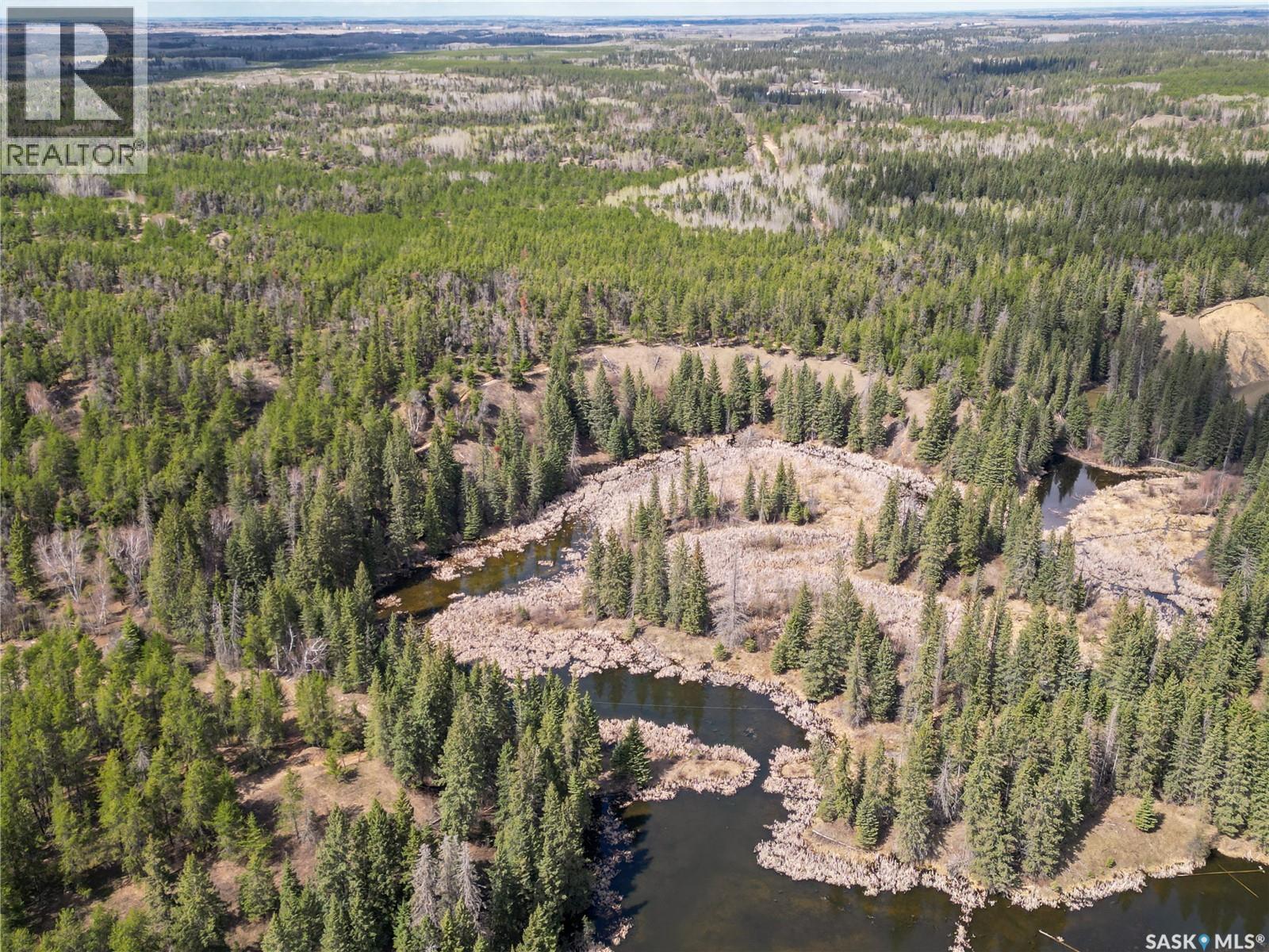 Little Red Villas Inc.(20.07 Acre) Parcel, Buckland Rm No. 491, Saskatchewan  S0J 1C0 - Photo 30 - SK046831