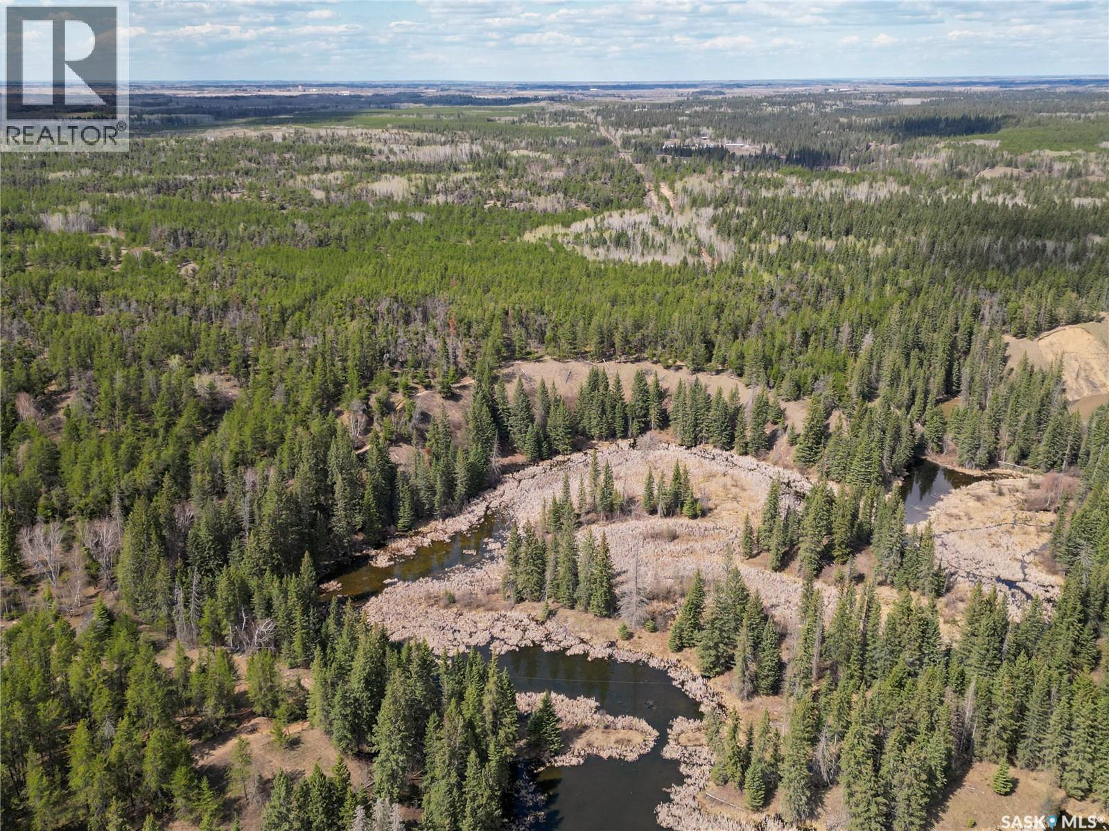 Little Red Villas Inc.(20.07 Acre) Parcel, Buckland Rm No. 491, Saskatchewan  S0J 1C0 - Photo 31 - SK046831