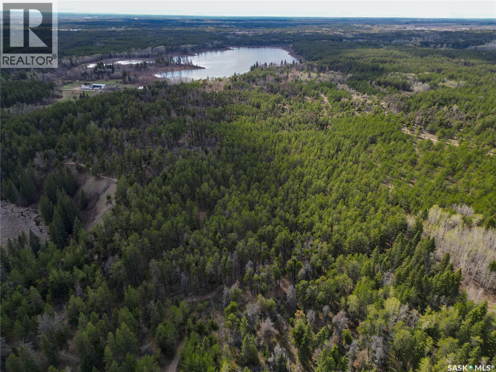 Little Red Villas Inc.(20.07 Acre) Parcel, Buckland Rm No. 491, Saskatchewan  S0J 1C0 - Photo 4 - SK046831