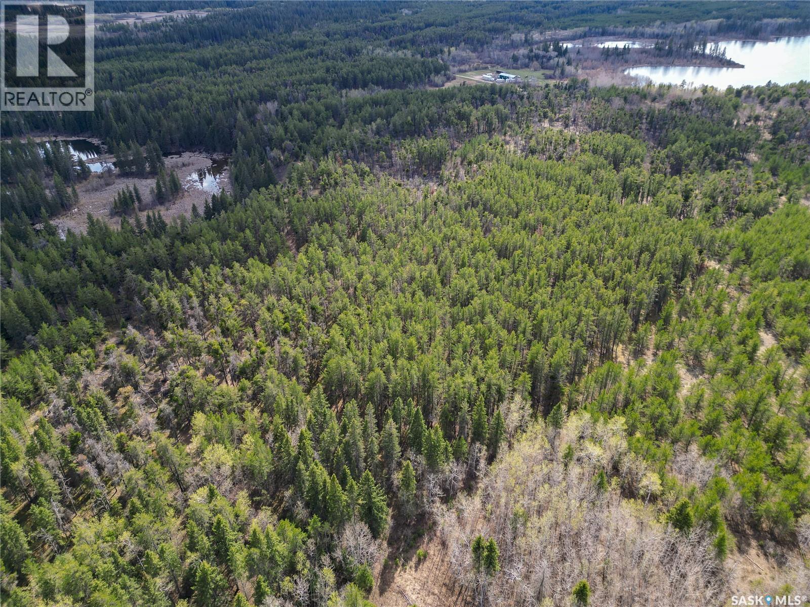 Little Red Villas Inc.(20.07 Acre) Parcel, Buckland Rm No. 491, Saskatchewan  S0J 1C0 - Photo 5 - SK046831