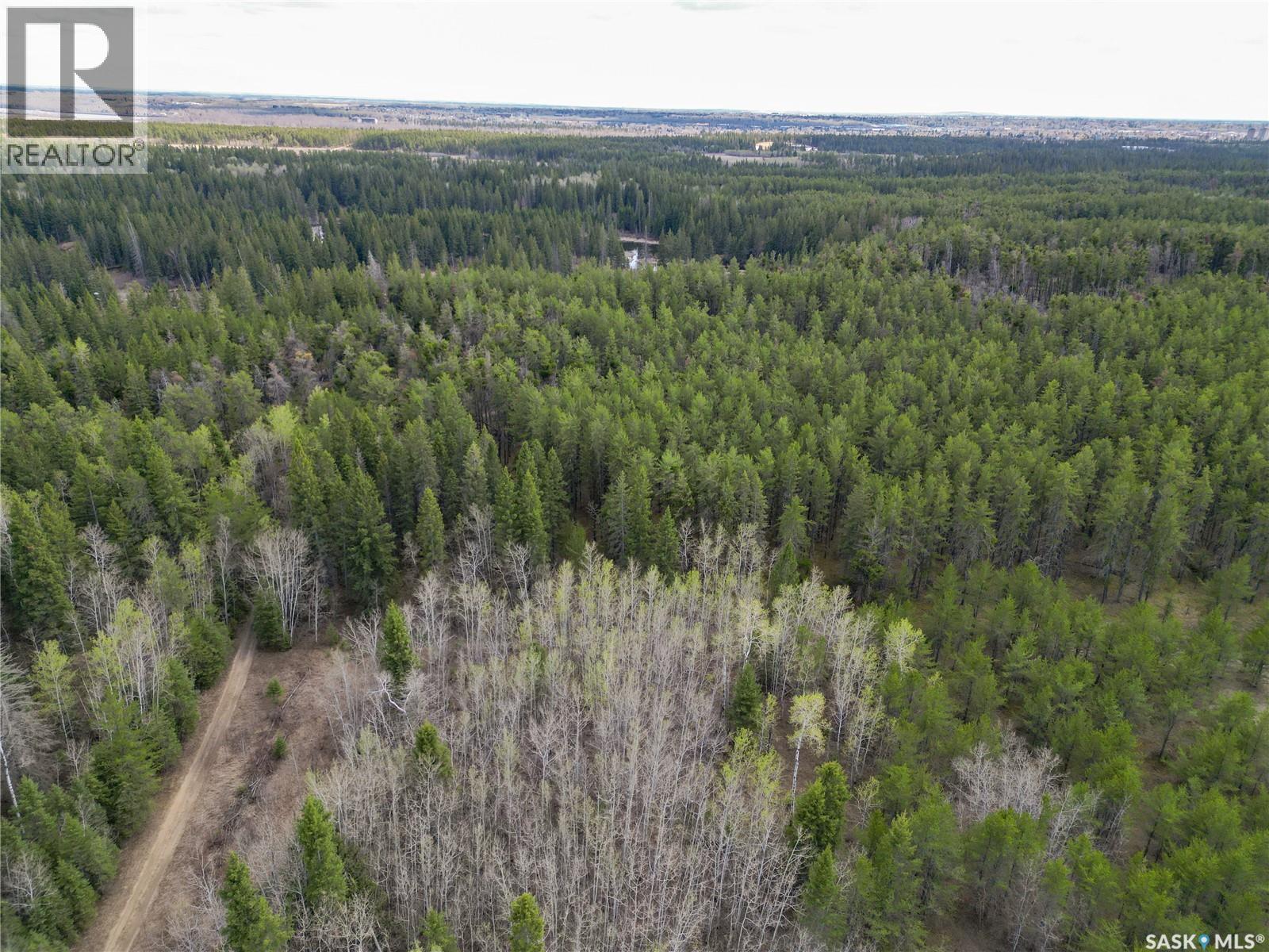 Little Red Villas Inc.(20.07 Acre) Parcel, Buckland Rm No. 491, Saskatchewan  S0J 1C0 - Photo 6 - SK046831