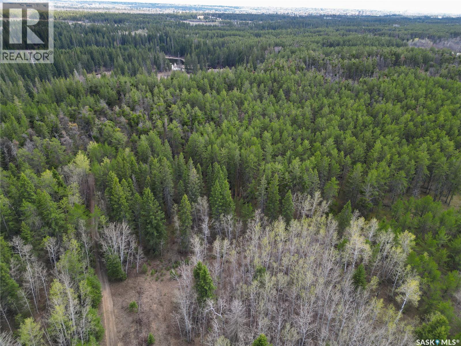 Little Red Villas Inc.(20.07 Acre) Parcel, Buckland Rm No. 491, Saskatchewan  S0J 1C0 - Photo 7 - SK046831