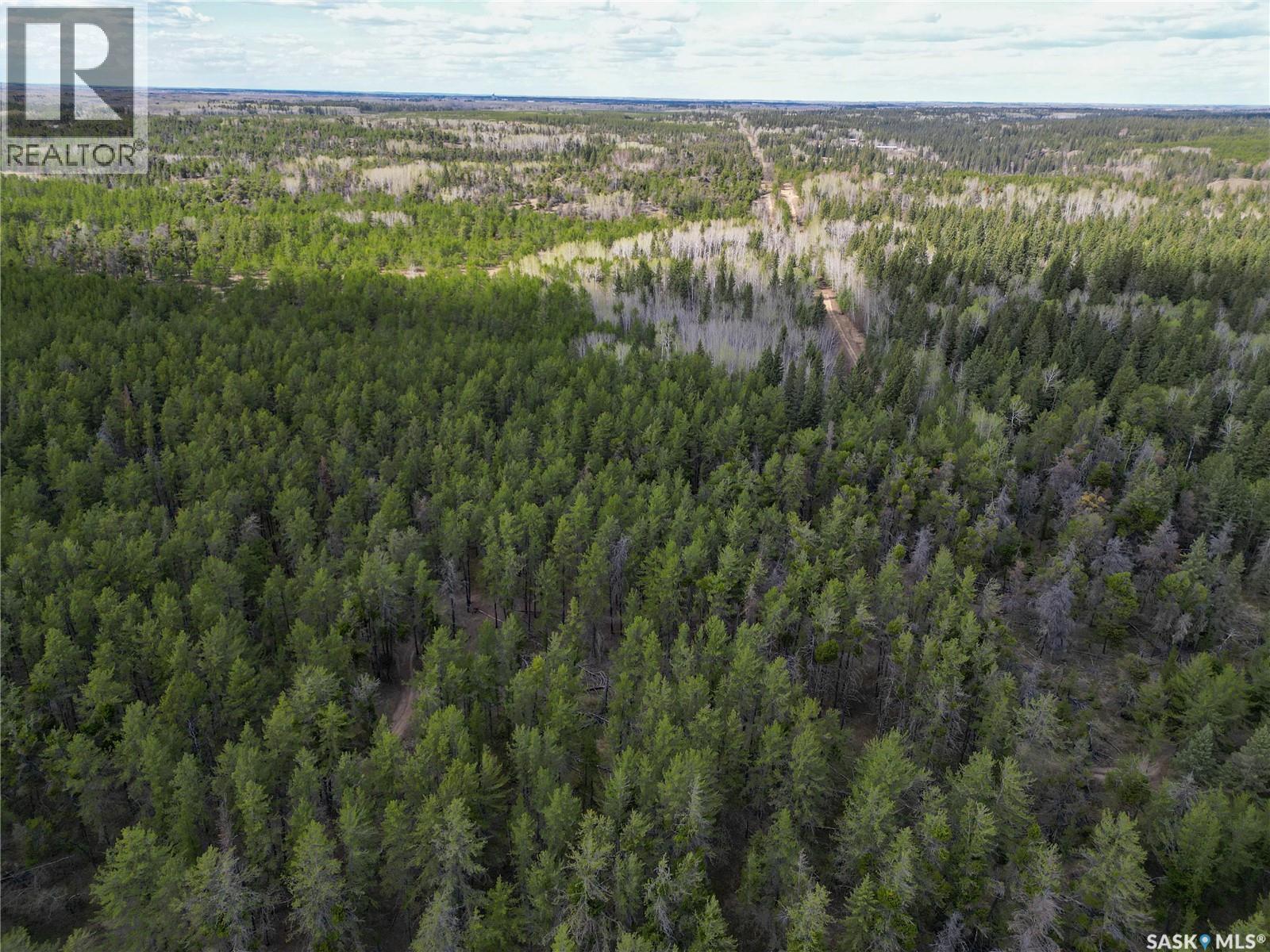 Little Red Villas Inc.(20.07 Acre) Parcel, Buckland Rm No. 491, Saskatchewan  S0J 1C0 - Photo 8 - SK046831