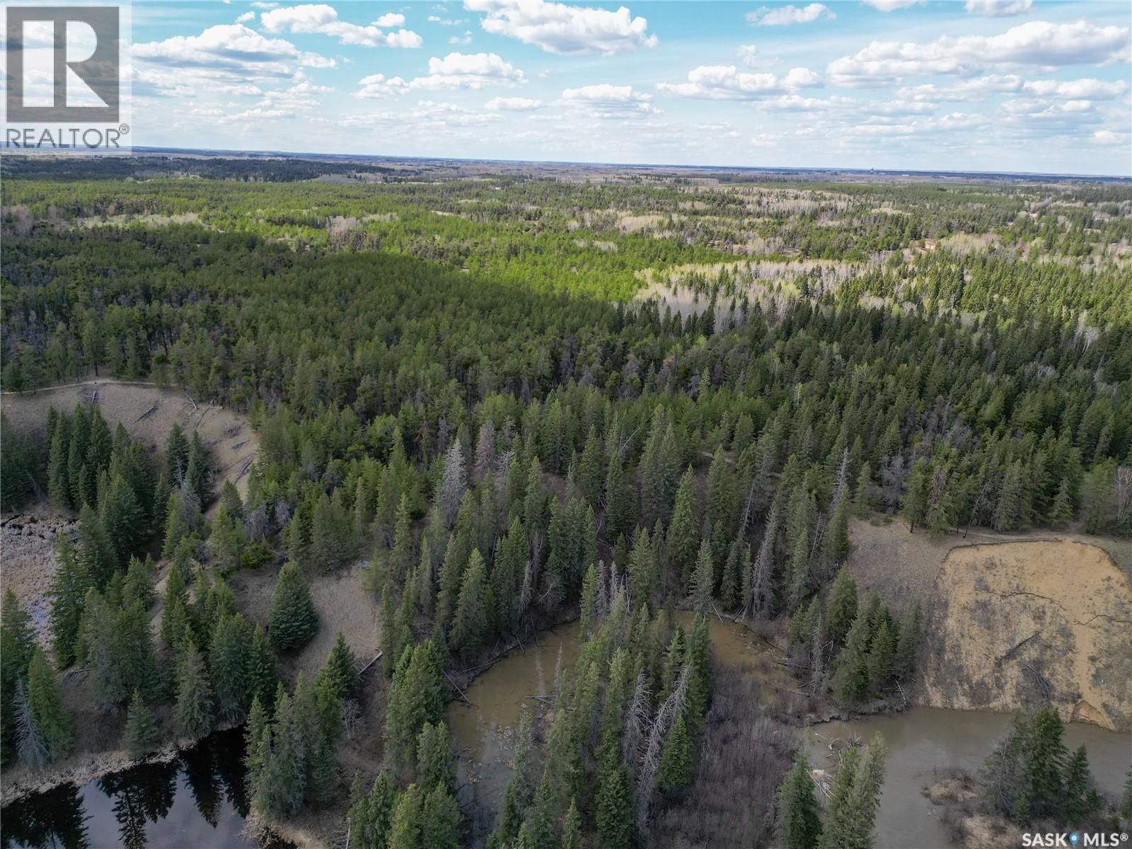 Little Red Villas Inc.(20.07 Acre) Parcel, Buckland Rm No. 491, Saskatchewan  S0J 1C0 - Photo 9 - SK046831