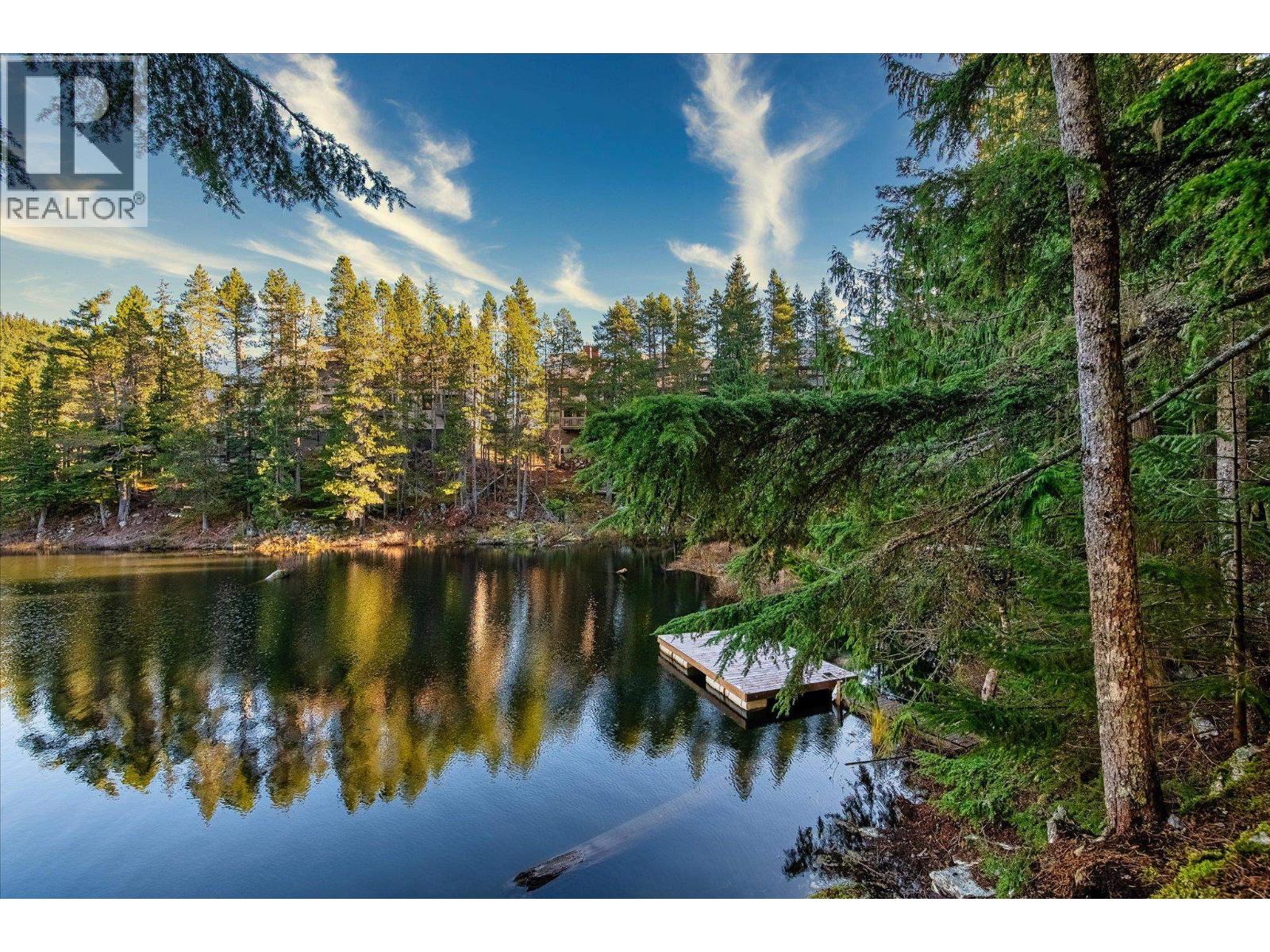 Jp1 1400 Alta Lake Rd Road, Whistler, British Columbia V8E 0G9 - Photo 23 - R3159354