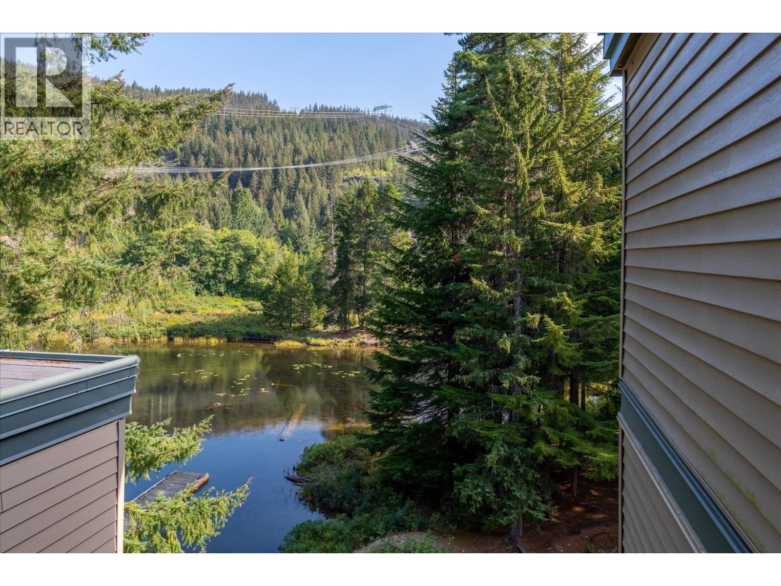 Jp1 1400 Alta Lake Rd Road, Whistler, British Columbia V8E 0G9 - Photo 21 - R3159354