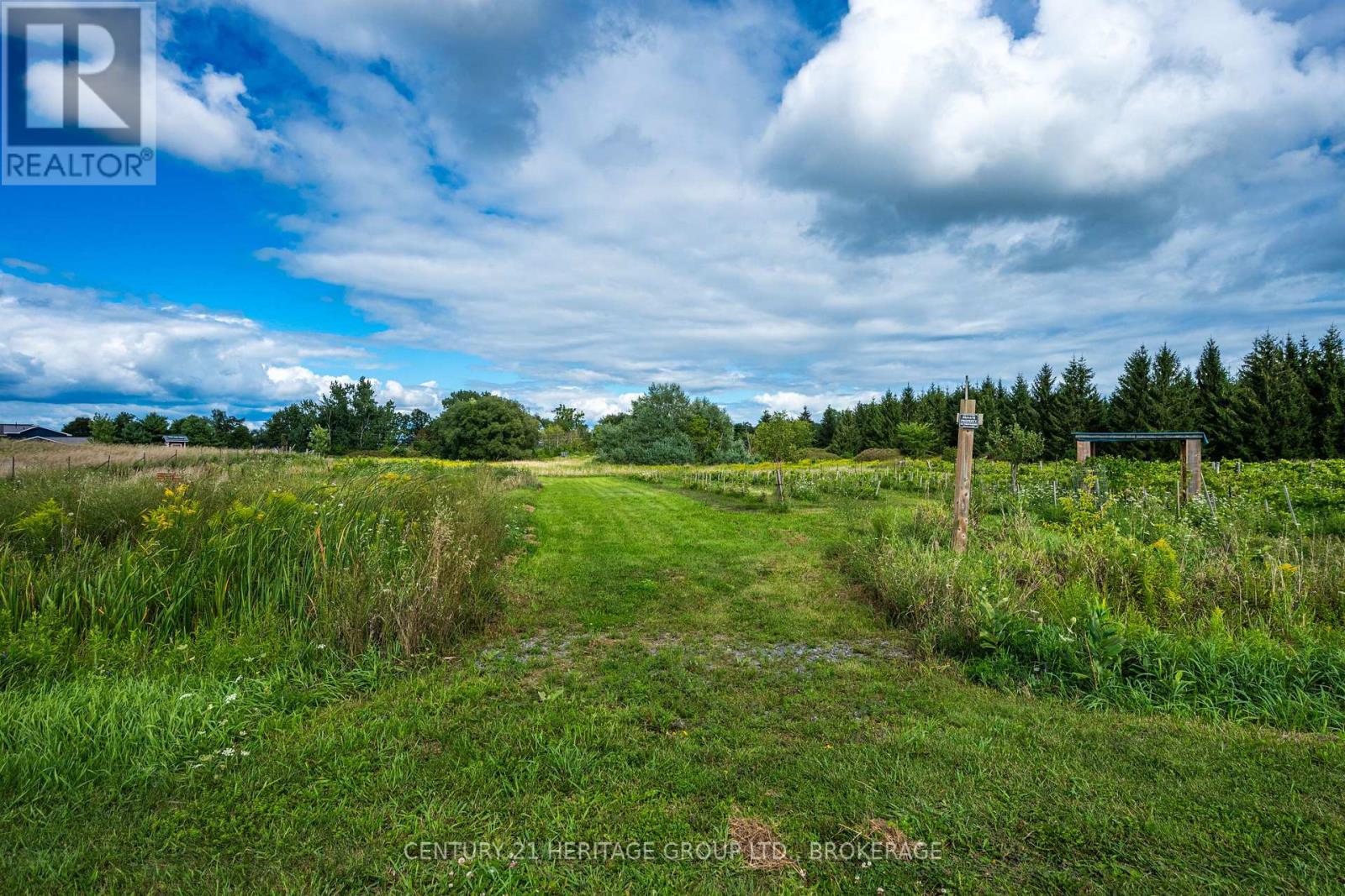 7 Hunt Club Lane, Frontenac Islands, Ontario  K0H 2Y0 - Photo 11 - X13719458