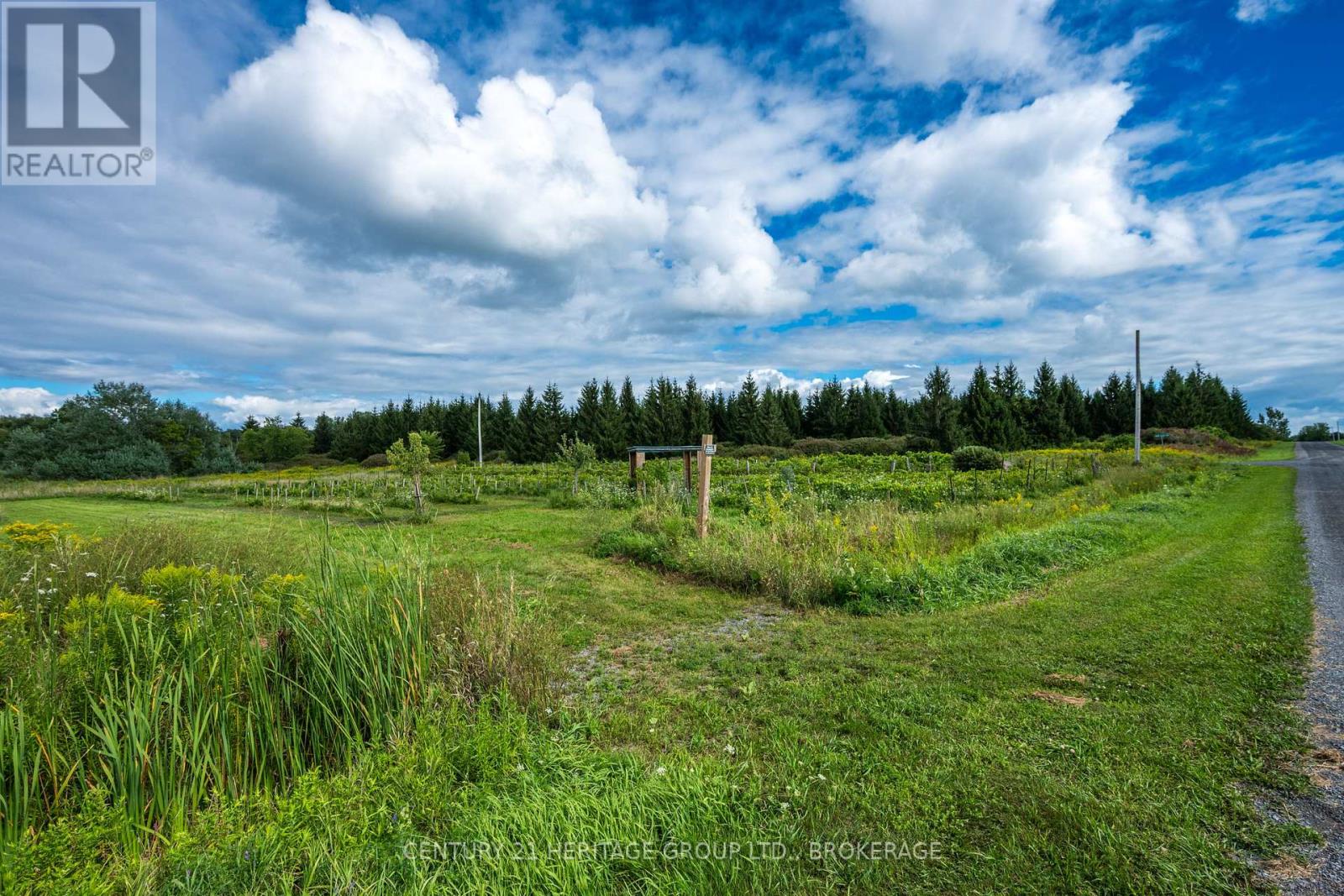 7 Hunt Club Lane, Frontenac Islands, Ontario  K0H 2Y0 - Photo 12 - X13719458