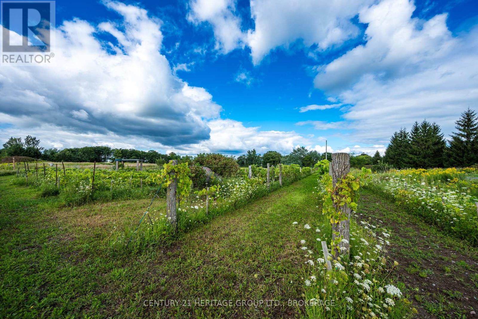 7 Hunt Club Lane, Frontenac Islands, Ontario  K0H 2Y0 - Photo 14 - X13719458