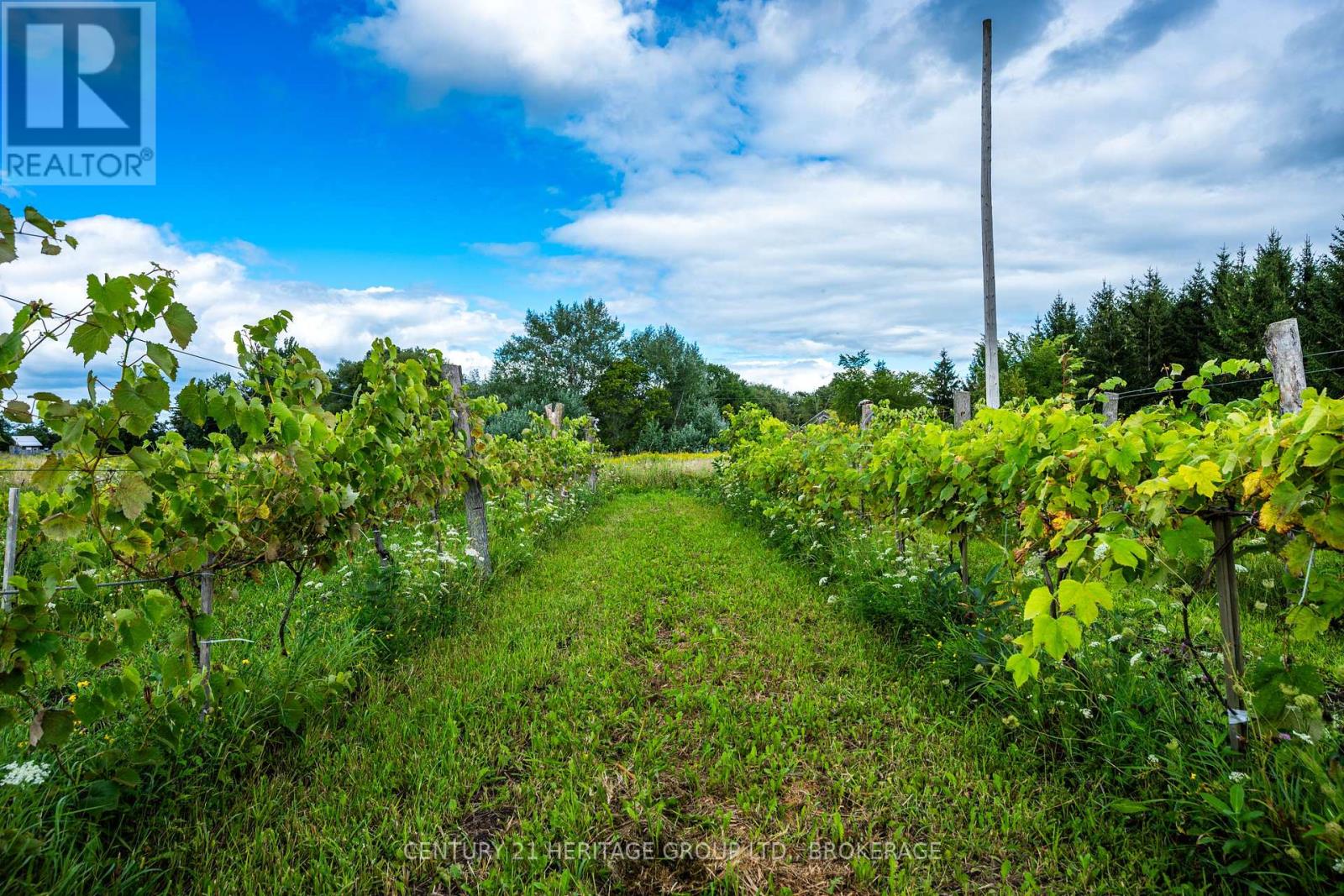 7 Hunt Club Lane, Frontenac Islands, Ontario  K0H 2Y0 - Photo 15 - X13719458