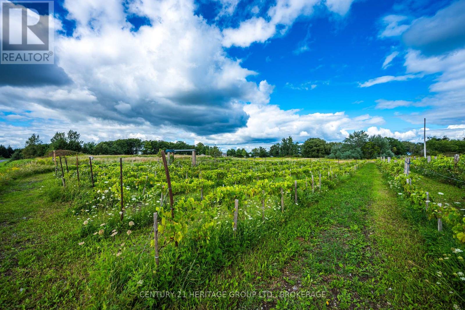 7 Hunt Club Lane, Frontenac Islands, Ontario  K0H 2Y0 - Photo 18 - X13719458
