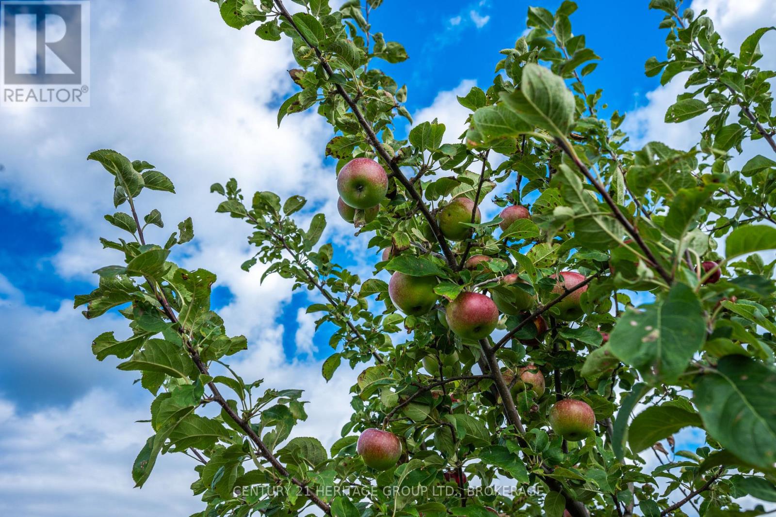 7 Hunt Club Lane, Frontenac Islands, Ontario K0H 2Y0 - Photo 7 - X13719458