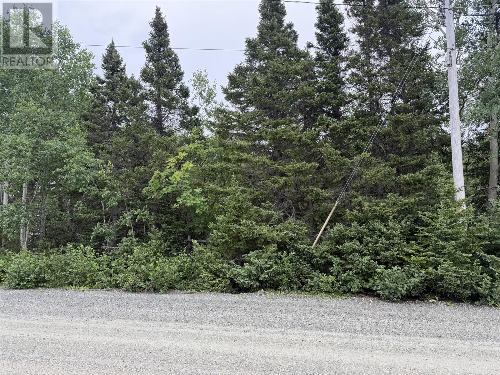 17 Leggetter's Lane, Eastport — photo 4