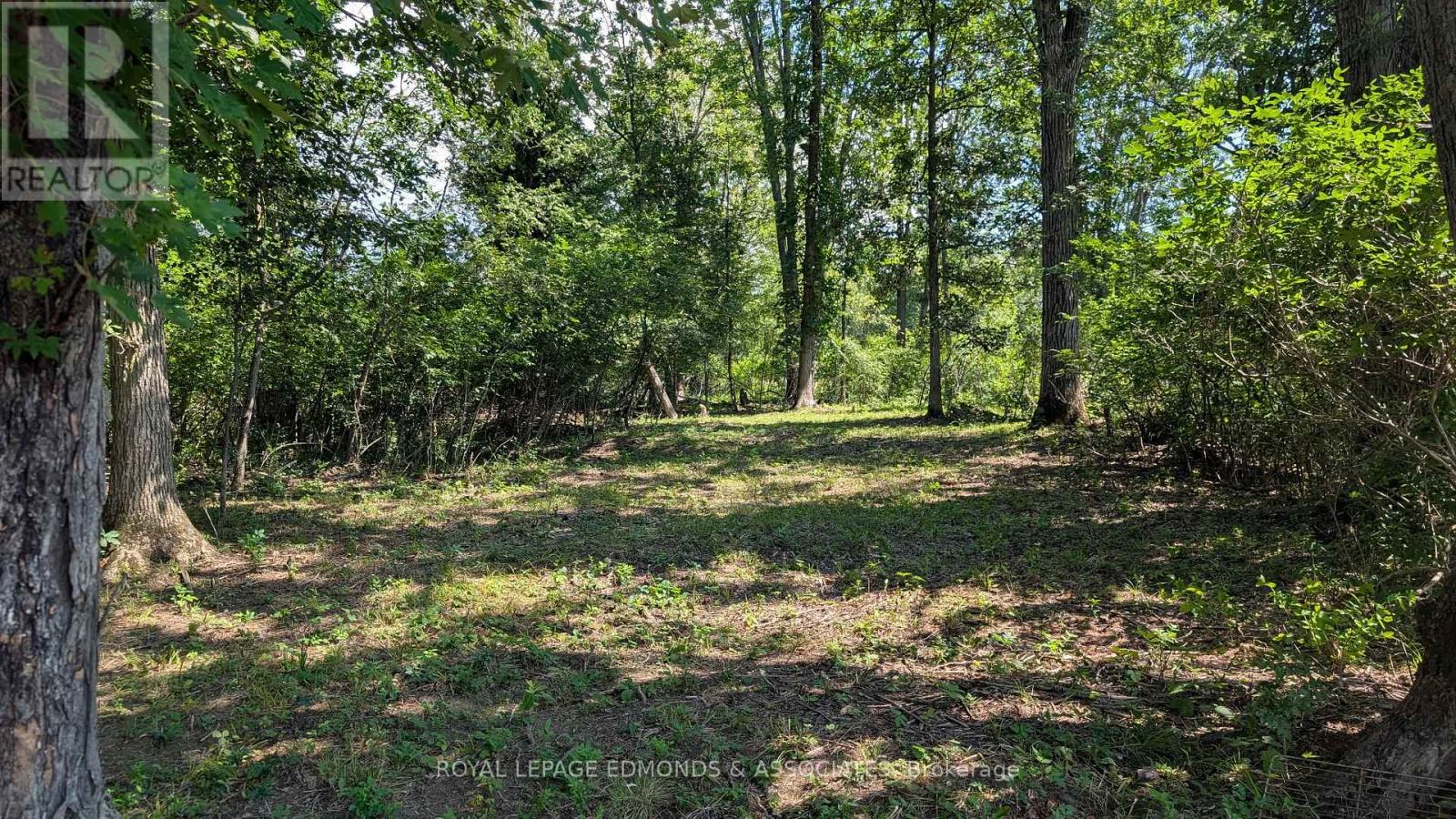 1 Morris Island, Laurentian Valley, Ontario K8A 6W2 - Photo 13 - X13719318