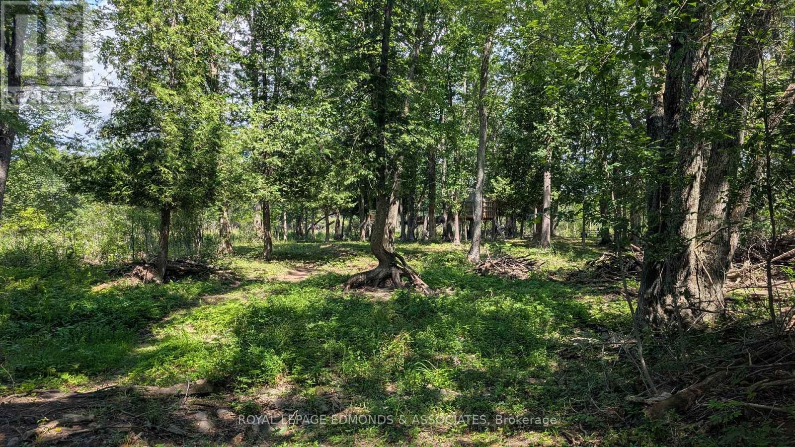 1 Morris Island, Laurentian Valley, Ontario K8A 6W2 - Photo 14 - X13719318