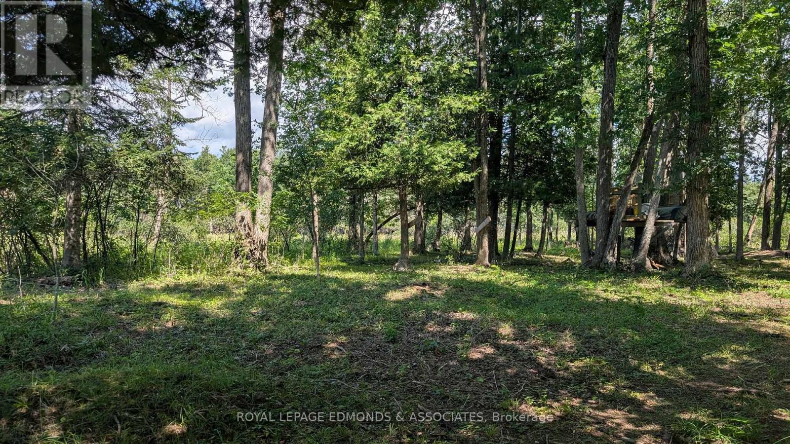1 Morris Island, Laurentian Valley, Ontario K8A 6W2 - Photo 15 - X13719318