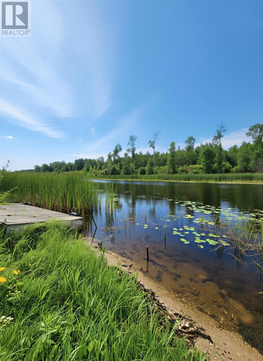 99 Kreger Rd, Bergland, Ontario  P0W 1M0 - Photo 9 - TB2602556