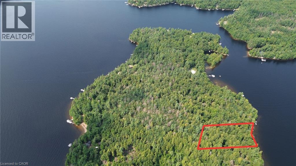 Blade Gold Lake Island — photo 3