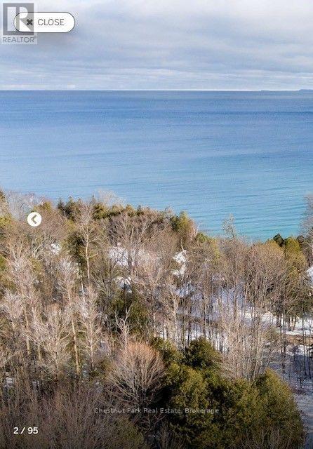 121 Kiowana Beach Road, Meaford, Ontario  N4L 1W5 - Photo 4 - X13719414