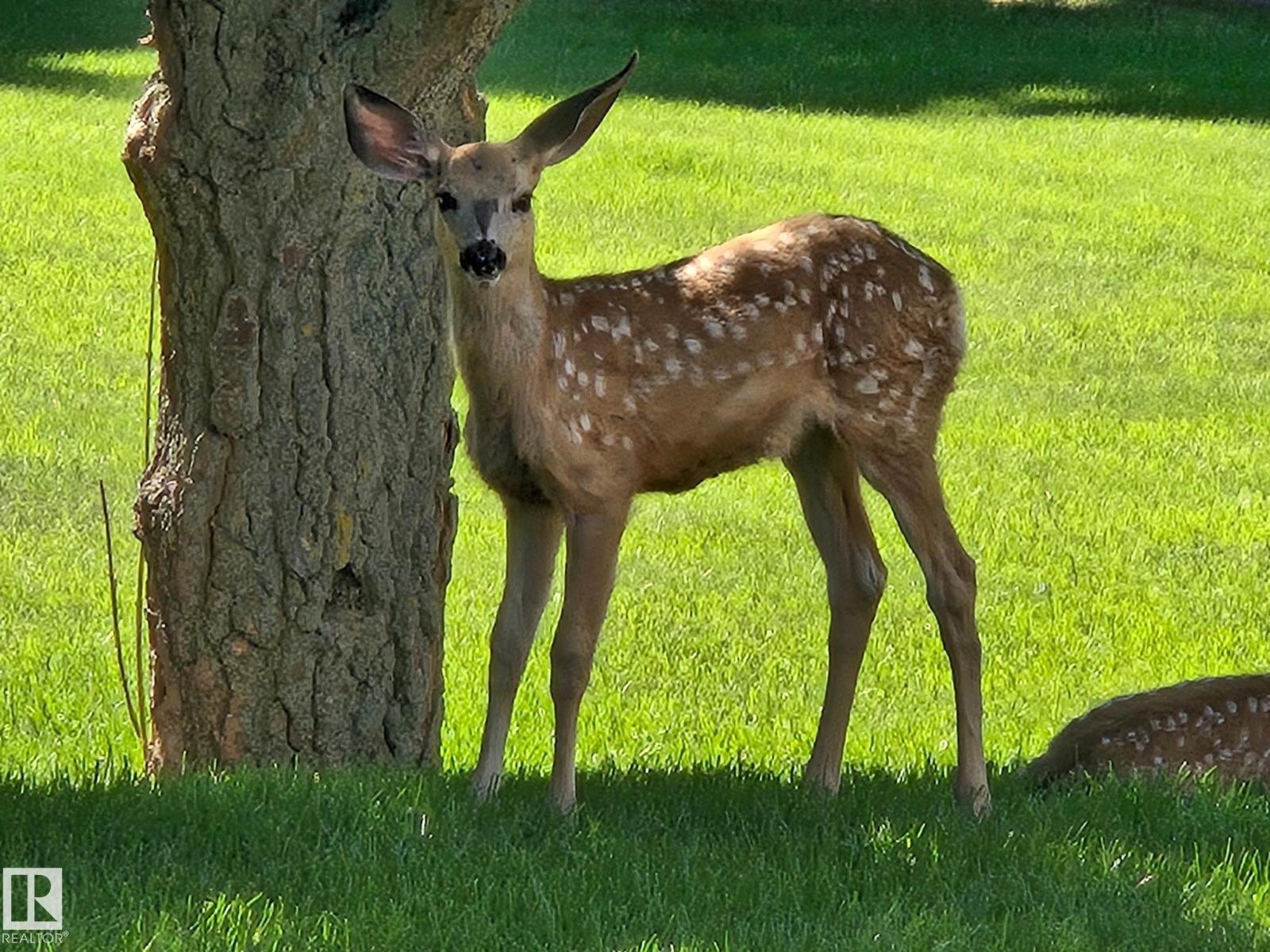picture 69