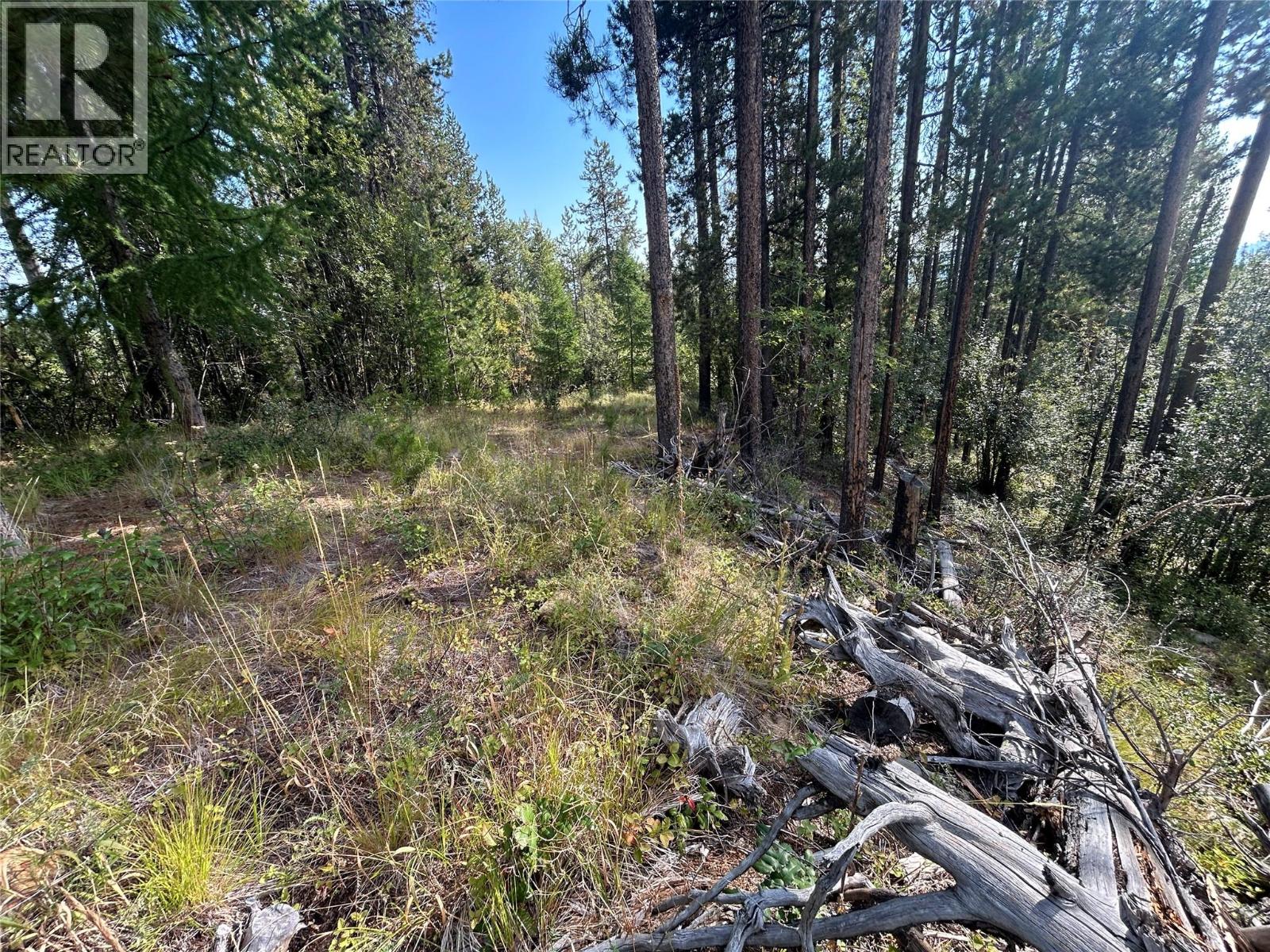 849 Deer Run Drive, Kimberley, British Columbia V1A 2Y5 - Photo 7 - 10398325