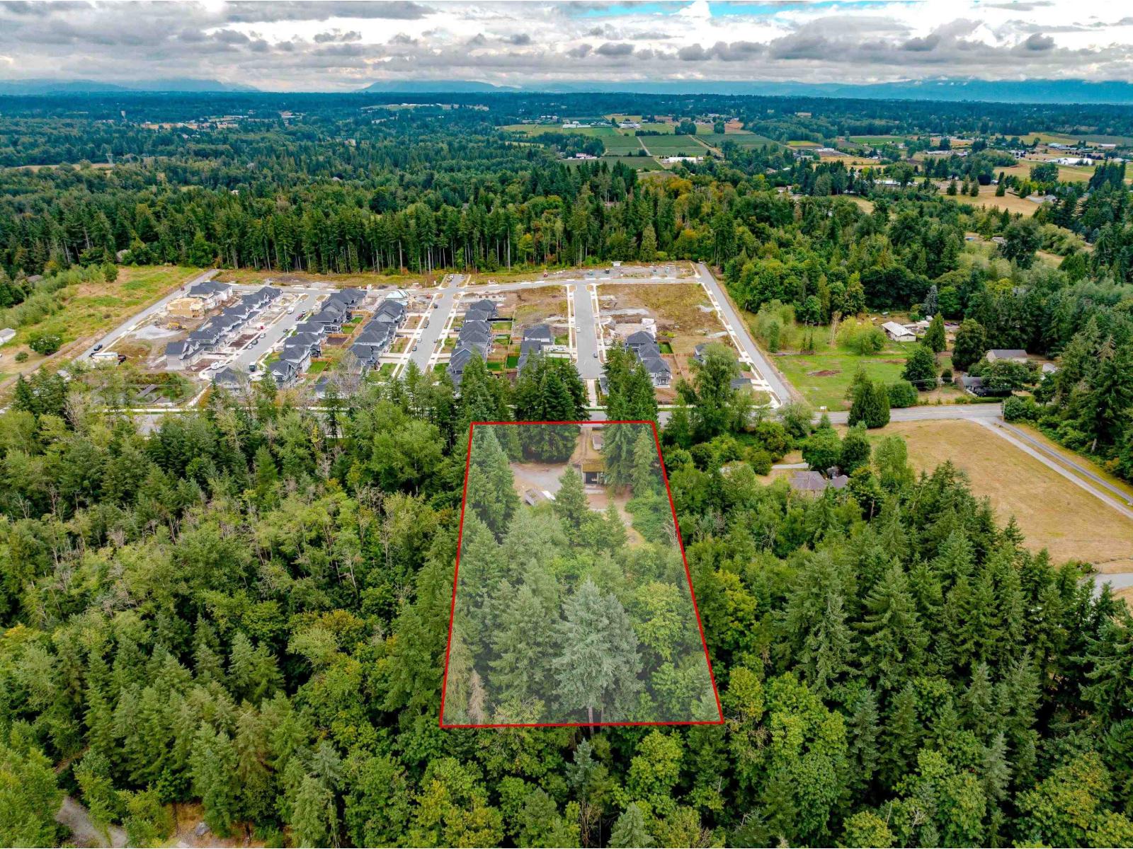 3381 208 Street, Langley, British Columbia  V2Z 2C5 - Photo 7 - R3075432