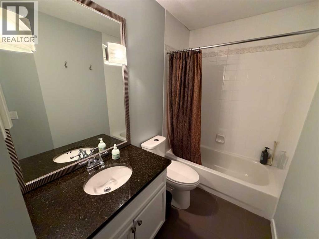 376 Sunlake Road SE, Calgary, Alberta  T2X 3H4 - Photo 20 - A2339604