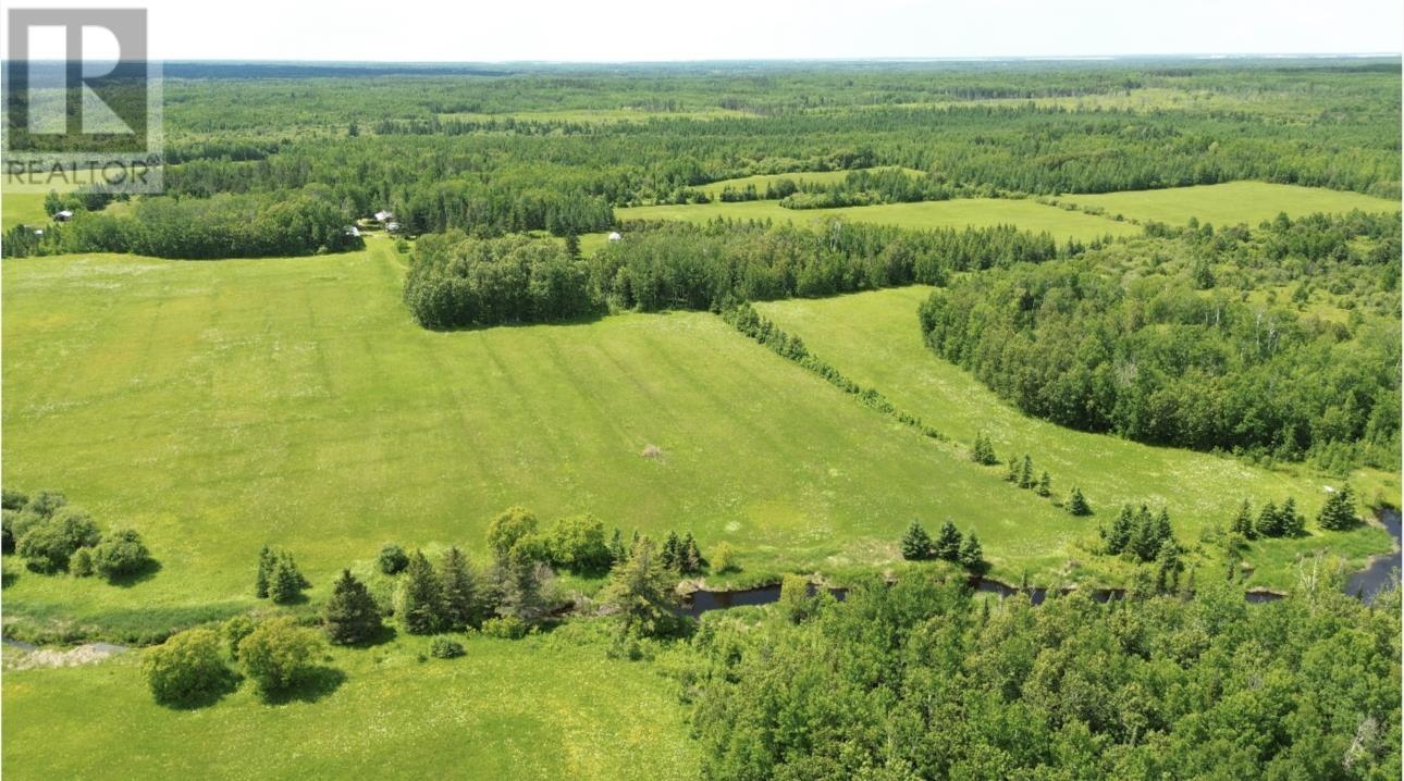 40 Birch Rd, Sleeman, Ontario  P0W 1M0 - Photo 12 - TB2602558