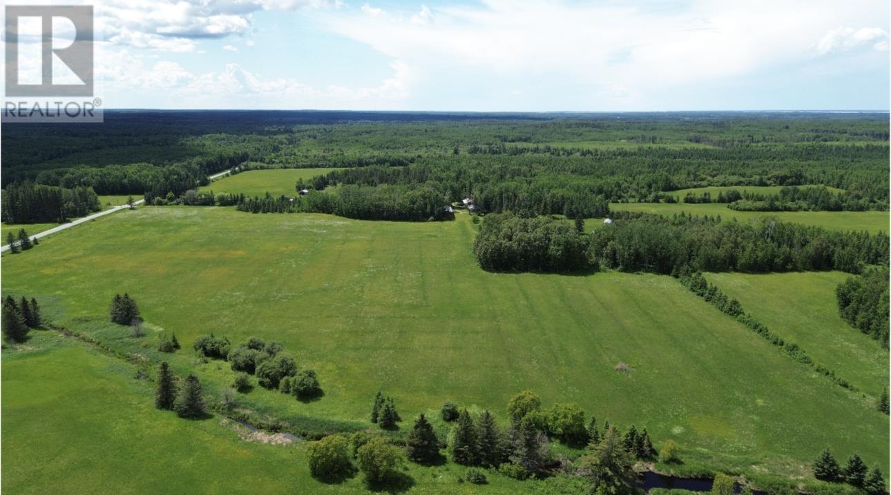 40 Birch Rd, Sleeman, Ontario  P0W 1M0 - Photo 14 - TB2602558