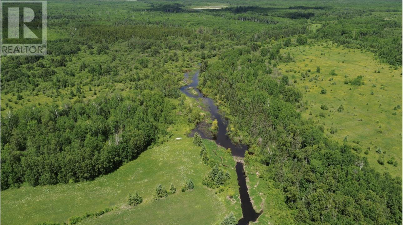40 Birch Rd, Sleeman, Ontario  P0W 1M0 - Photo 15 - TB2602558