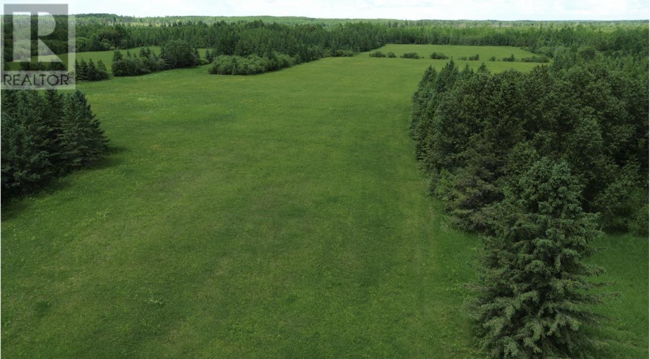 40 Birch Rd, Sleeman, Ontario  P0W 1M0 - Photo 16 - TB2602558