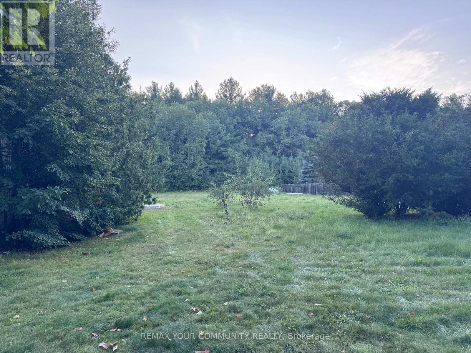 20378 Yonge Street, East Gwillimbury, Ontario  L9N 1N9 - Photo 10 - N13719620