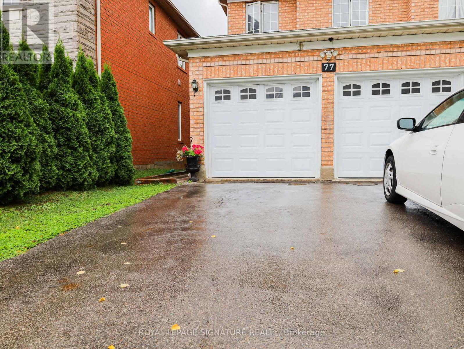 1 Bed 1bath Basement - 77 Rushingbrook Drive, Richmond Hill, Ontario  L4S 1X4 - Photo 1 - N13719632