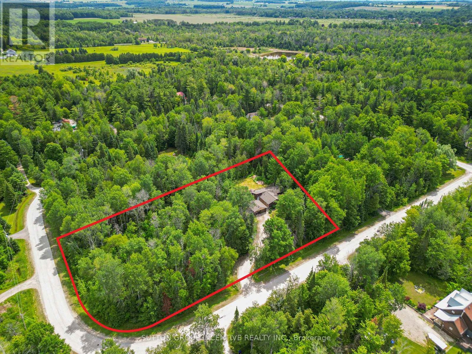 59 Forest Hill Drive, Adjala-Tosorontio, Ontario  L0M 1J0 - Photo 2 - N13719894