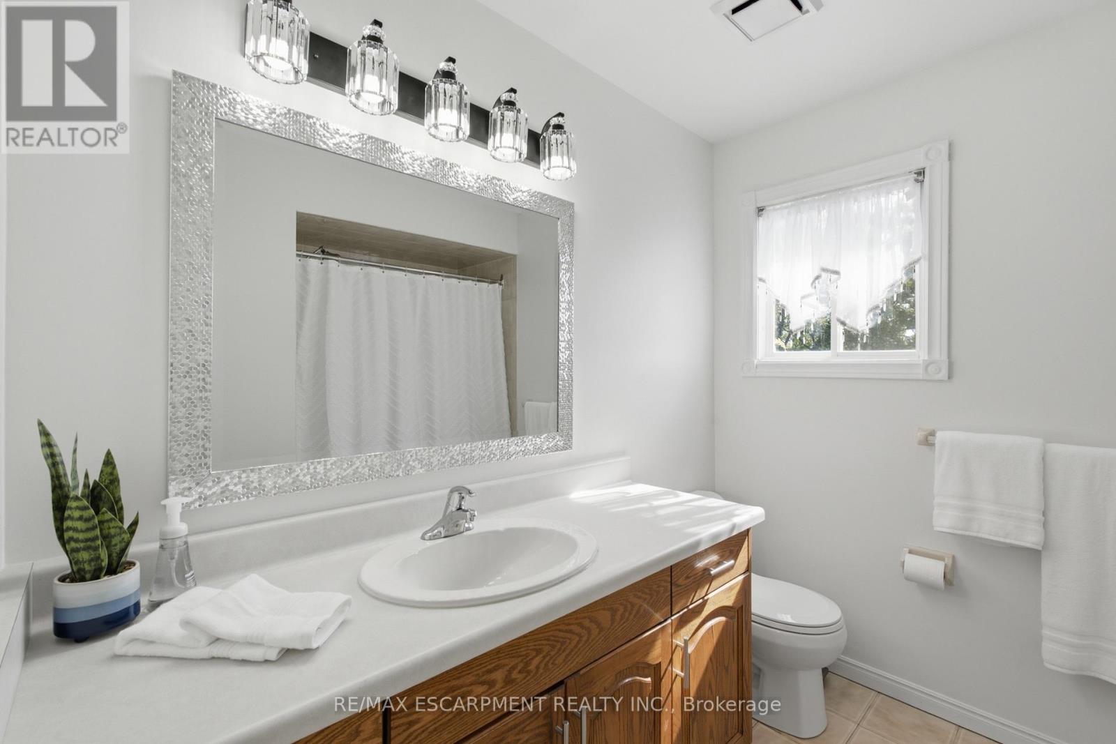 102 Trenholme Crescent, Hamilton, Ontario  L8W 2L6 - Photo 30 - X13719932