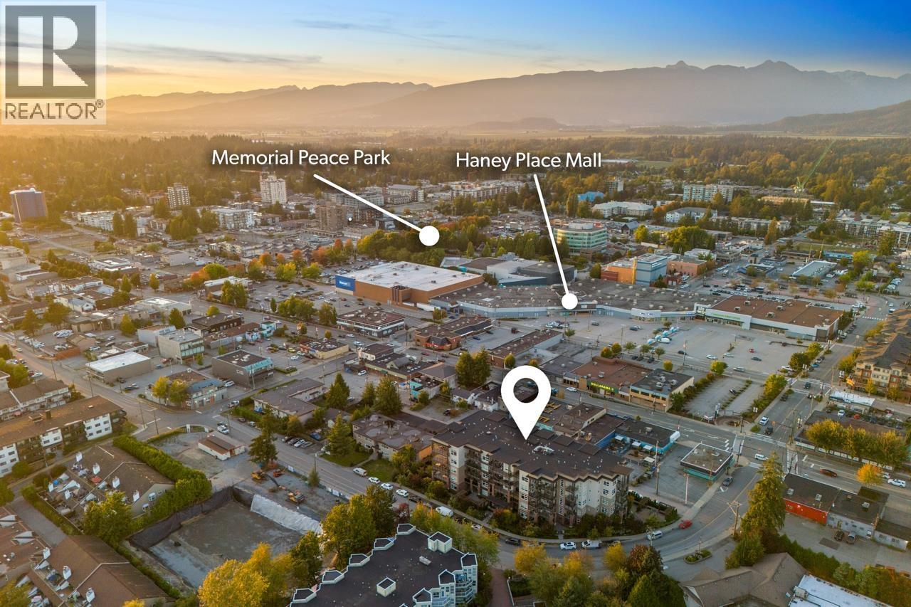 306 22577 Royal Crescent, Maple Ridge, British Columbia V2X 2M2 - Photo 35 - R3135133