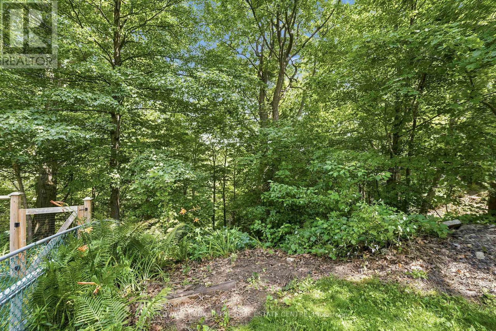 15 Presley Avenue, Toronto, Ontario  M1L 3P4 - Photo 38 - E13720200
