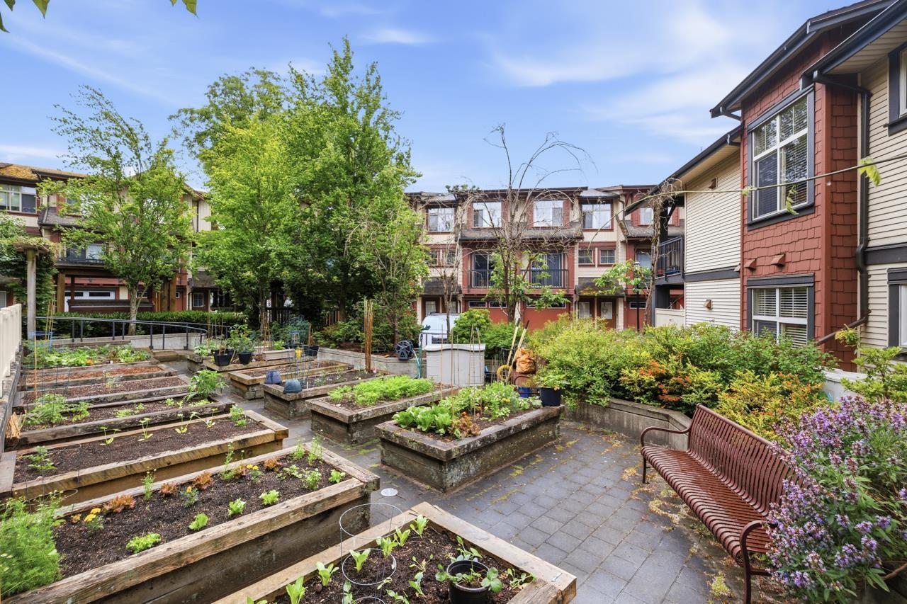 56 19478 65 Avenue, Surrey, British Columbia  V4N 5X5 - Photo 25 - R3156064