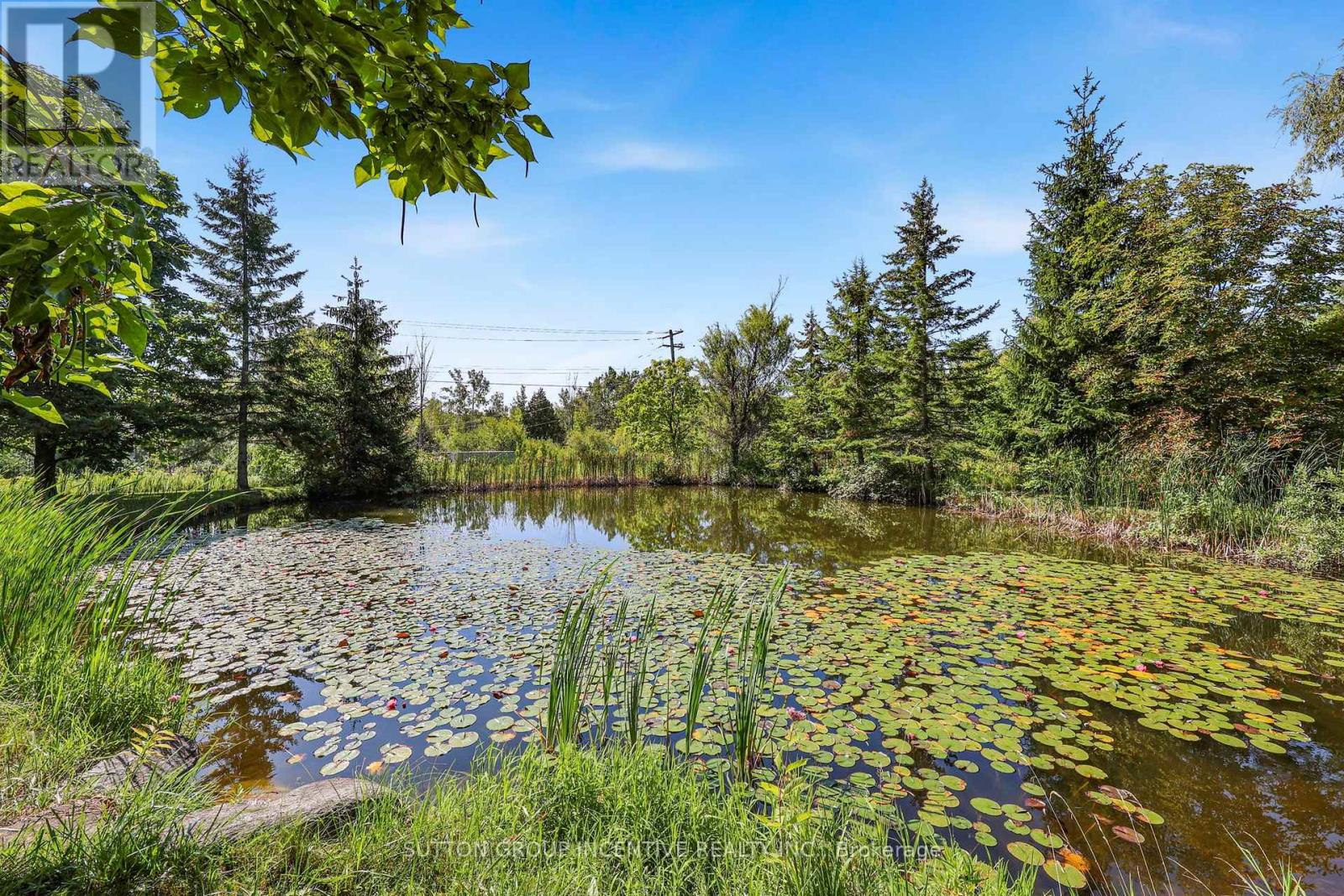 10 Springhome Road, Oro-Medonte, Ontario  L0L 1T0 - Photo 44 - S13449076