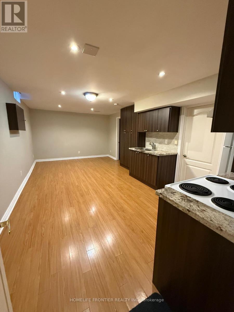 Lower Apartment - 144 Shaftsbury Avenue, Richmond Hill, Ontario  L4C 0G2 - Photo 4 - N13715608