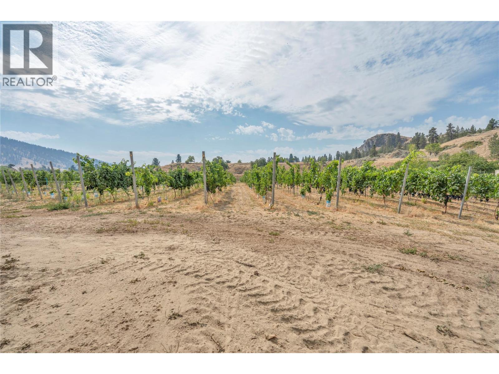 1170 Corbishley Avenue, Penticton, British Columbia  V2A 8V2 - Photo 15 - 10398187