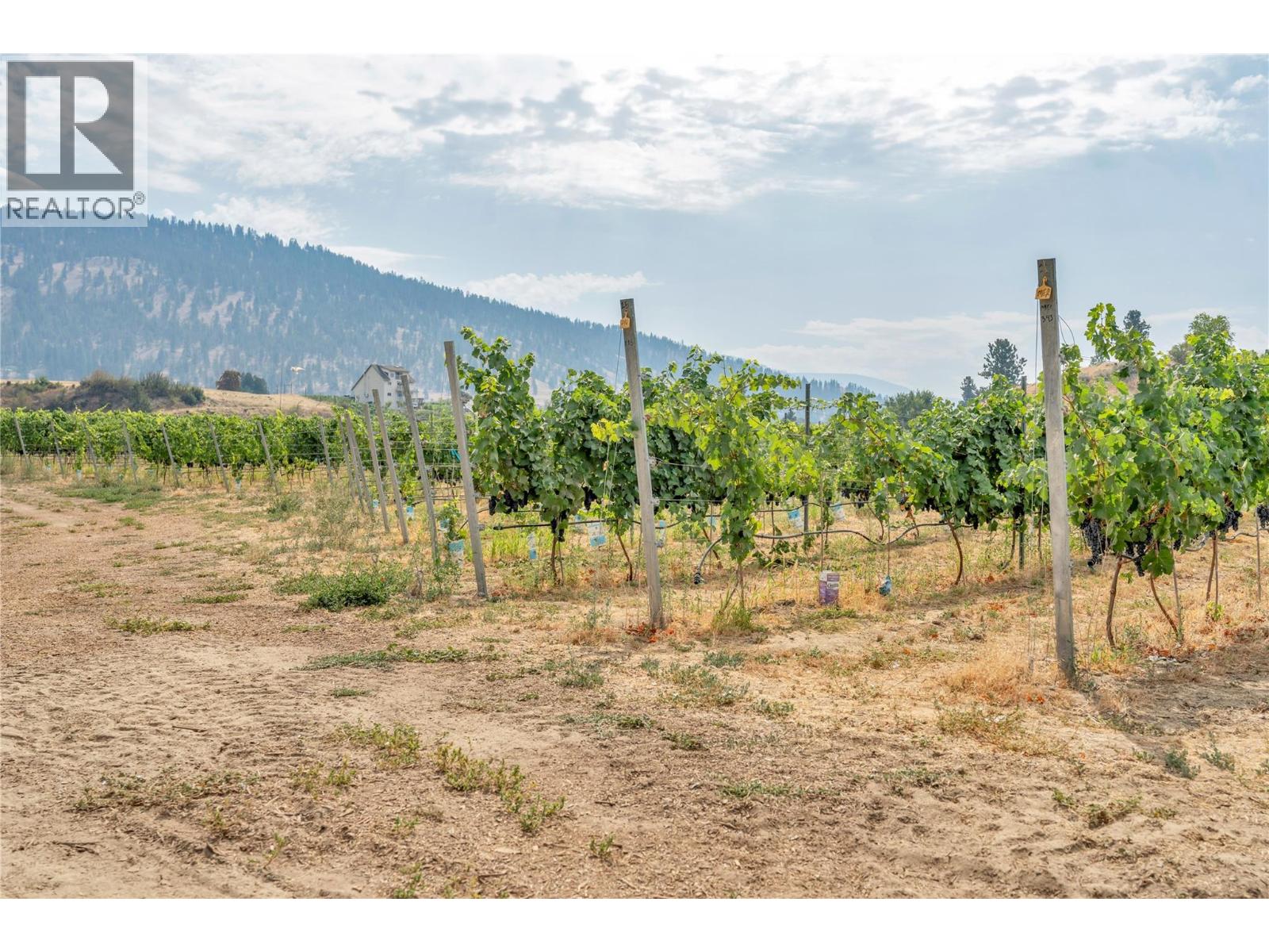 1170 Corbishley Avenue, Penticton, British Columbia  V2A 8V2 - Photo 11 - 10398187