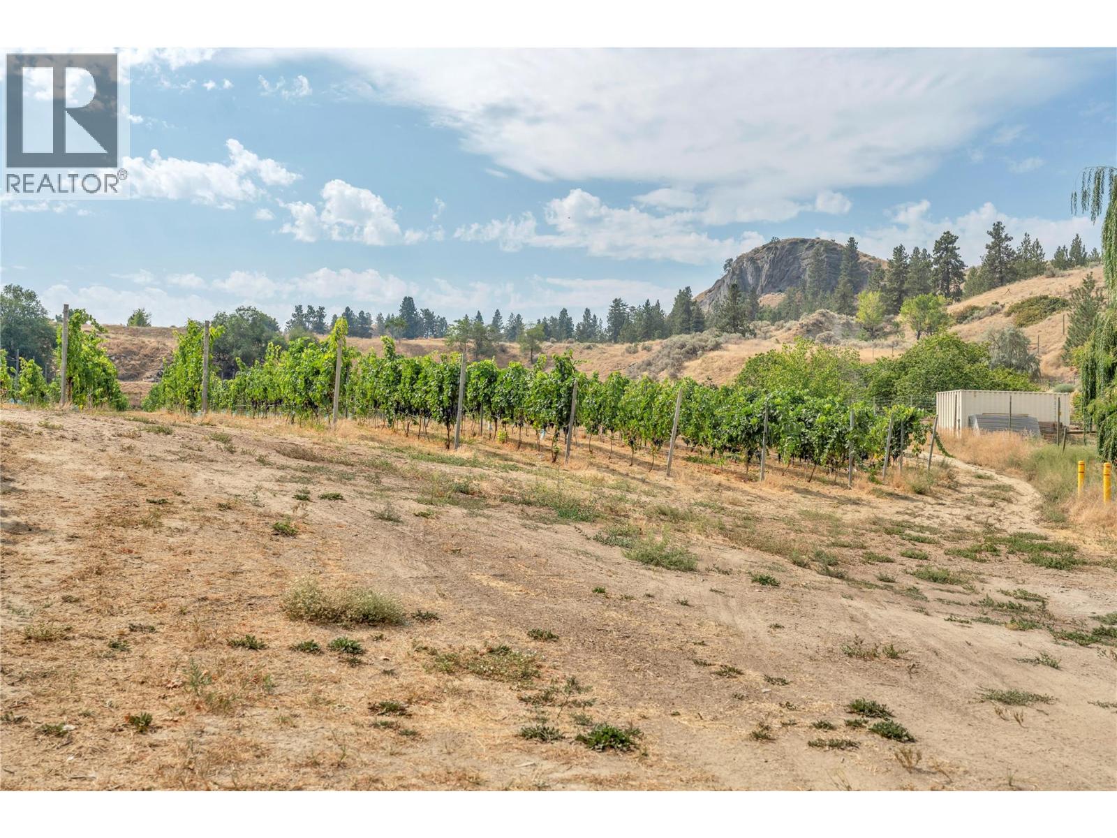 1170 Corbishley Avenue, Penticton, British Columbia  V2A 8V2 - Photo 14 - 10398187