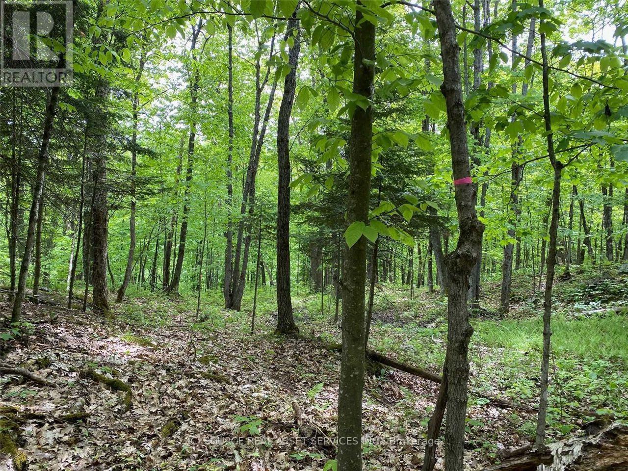 933 Ferguson Road, Armour, Ontario  P0A 1L0 - Photo 29 - X13720320