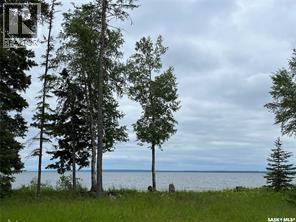 2 And 11 Spruce Crescent, Dore Lake, Saskatchewan  S0M 1B0 - Photo 8 - SK026556
