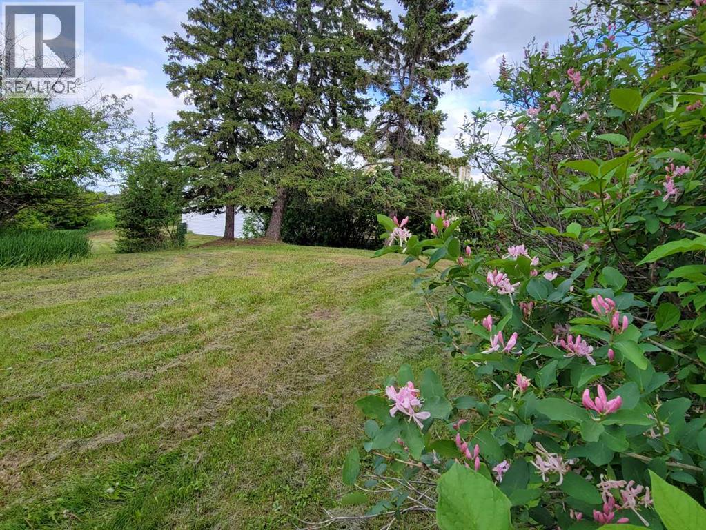 5205 52 Avenue, Castor, Alberta  T0C 0X0 - Photo 41 - A2319365