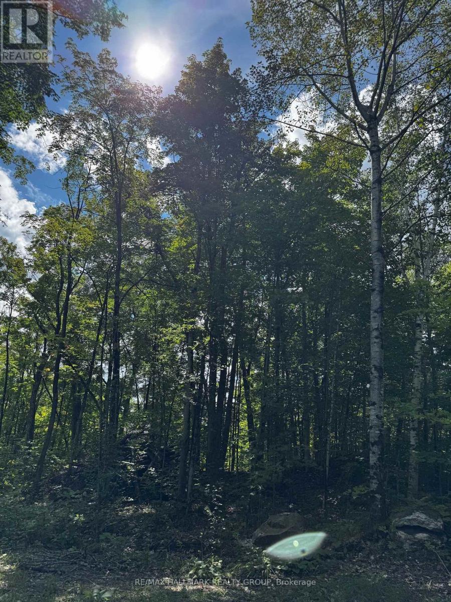 Lot #20 Crestview Drive, Greater Madawaska, Ontario  K0J 1H0 - Photo 12 - X13535918