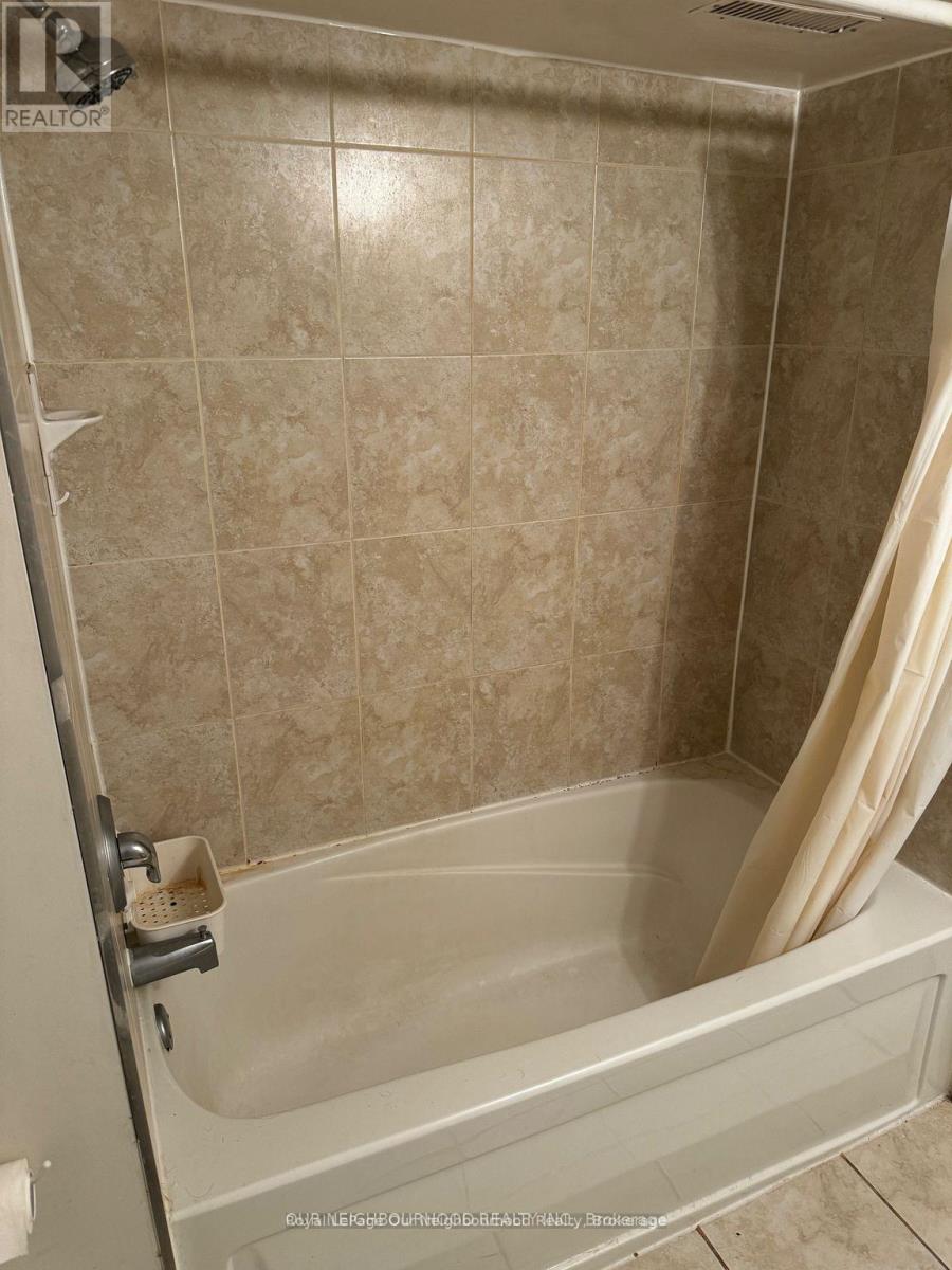 Bsmt - 105 Poyntz Avenue, Toronto (Lansing-Westgate), Ontario  M2N 1J3 - Photo 3 - C13720654